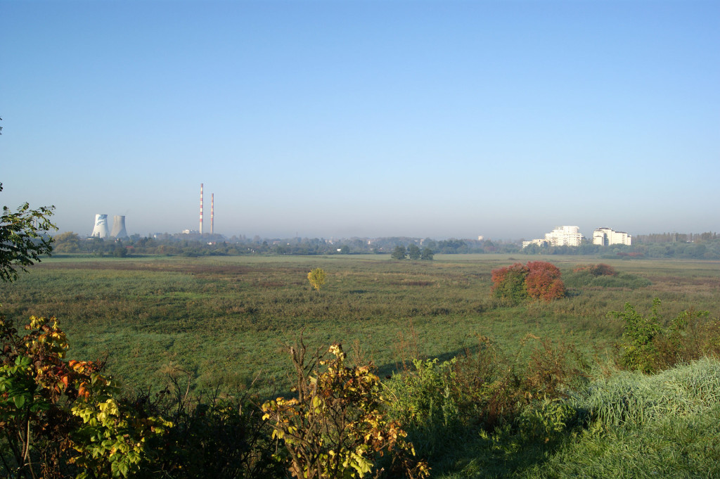 Nowa_Huta_Meadows,Nowa_Huta,Krakow,Poland