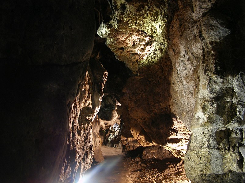 Łokietek Cave in Ojców National Park