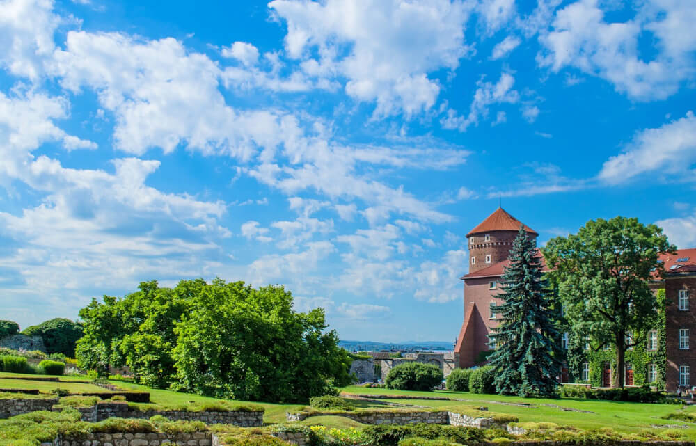 kraków meksyk madera egzotyka