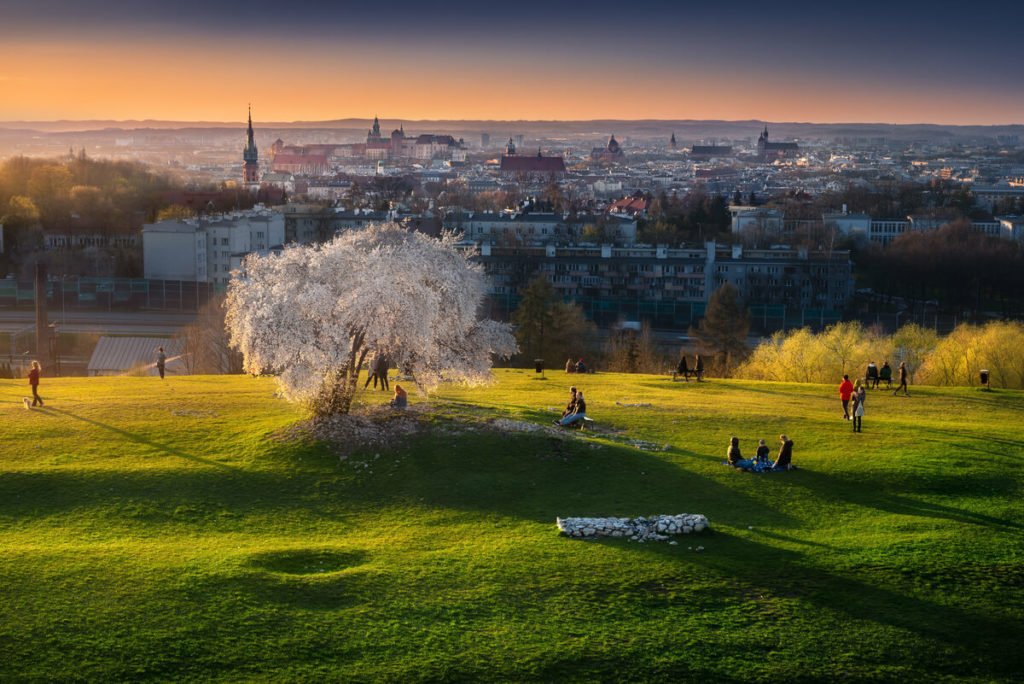 Kraków - miejsce na piknik