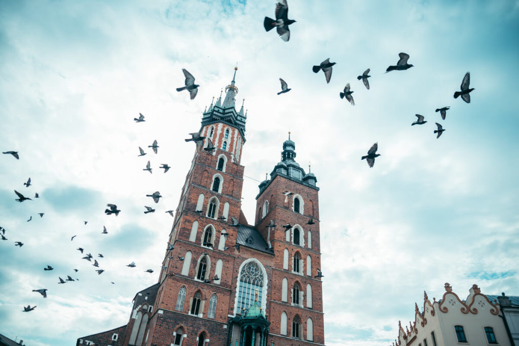 Kraków - zaczarowane gołębie