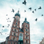 Kraków - zaczarowane gołębie