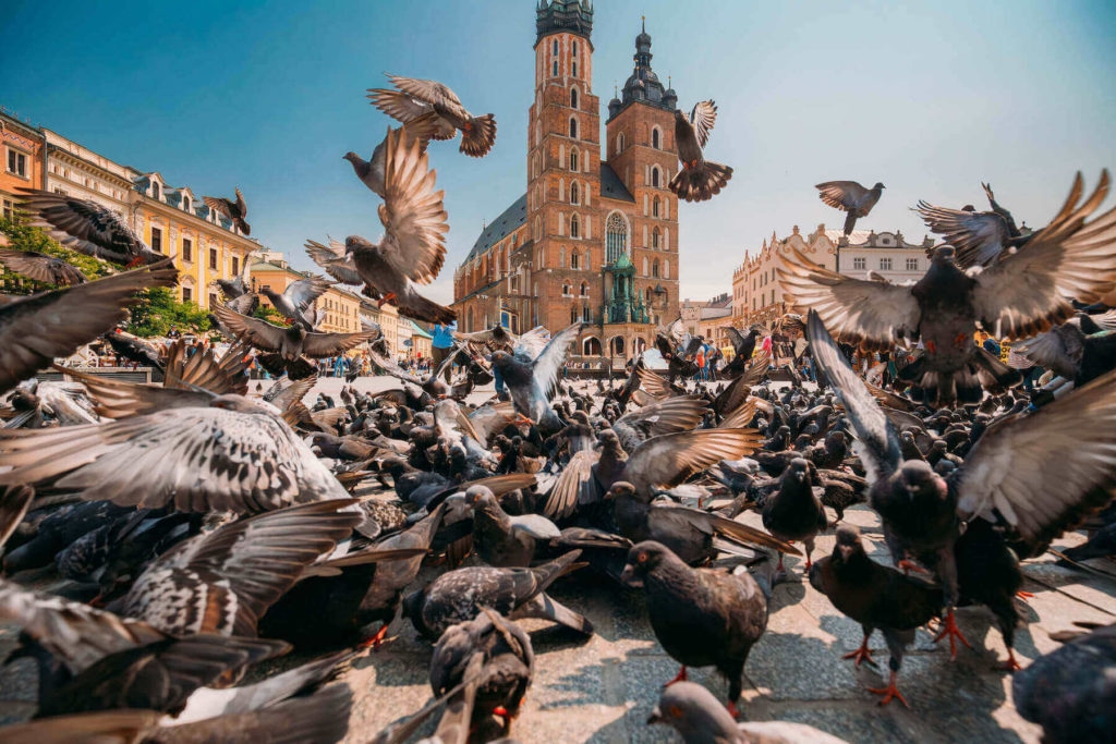 tanie atrakcje - Kraków Rynek
