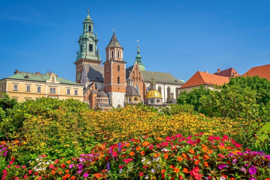 Wzgórze wawelskie z katedrą i złotą kopułą kaplicy Zygmuntowskiej, na pierwszym planie kwietnik