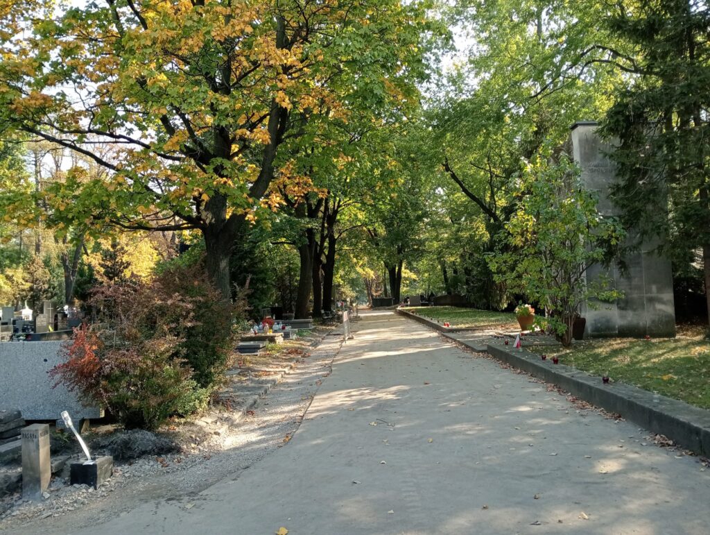 Breite Allee des Rakowicki-Friedhofs in Krakau zwischen herbstlichen Bäumen